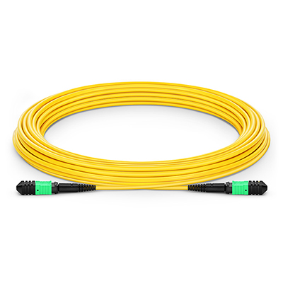 MPO Indoor Fiber Optic Patch Cord